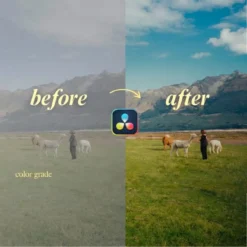 CourseOne™ - Powergrade for Davinci Resolve