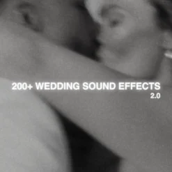 Plus Two - Wedding SFX 2.0